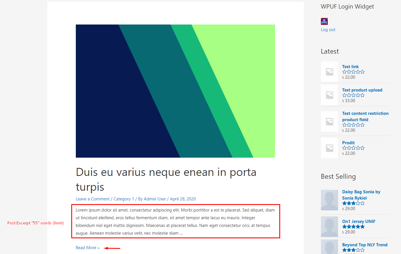 How to set a Read More Link on Blog Archive page - WPRegular